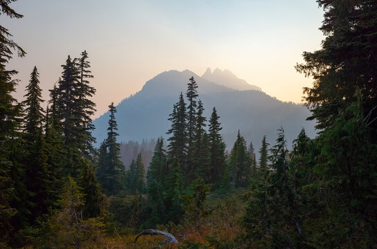 Alpine landscape at dusk, Cascade Range, Washington