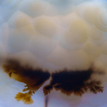 Marine chalcedony agate mineral detail texture