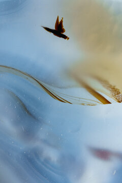 Marine chalcedony agate mineral detail texture