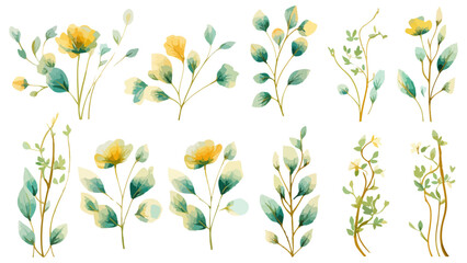 Set watercolor elements of pink roses; collection garden flowers; leaves; branches. Botanic Wedding floral design. Collection of greenery leaf plant forest herbs tropical leaves.