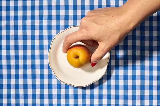Apricot fruit