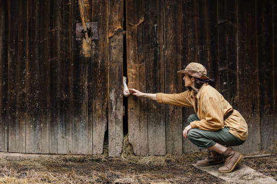 A farmer girl contacts an animal through a gap in the barn.