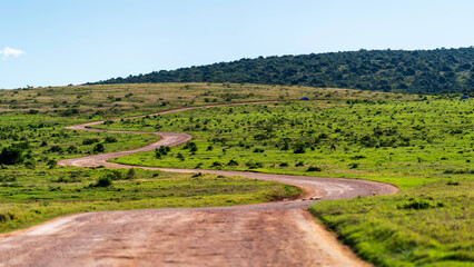 Winding gravel road at Addo Elephant National Park, South Africa
