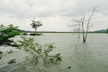 After the monsoon blew through causing flooding