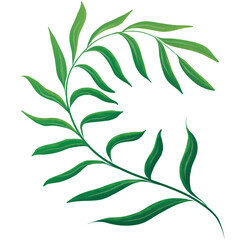 Green Watercolor Leaf Illustration