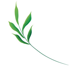 Green Watercolor Leaf Illustration