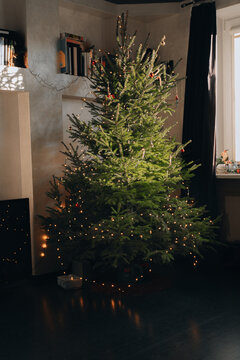 Before and after:Decorated Christmas tree-Lifeless with twinkle lights