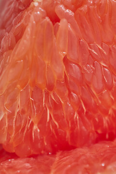 Macro Image of Slice of Grapefruit