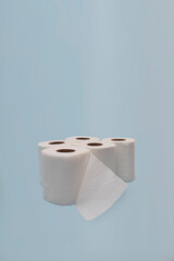 Toilet paper rolls
