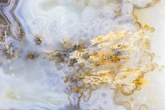 Dendritic Agate Slice Closeup  