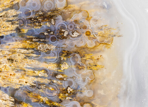 Natural Dendritic Agate Macro Closeup  