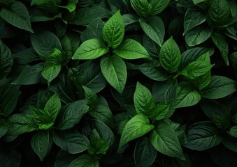 Mystical Foliage: Eerie Dark Green Backing Generative AI