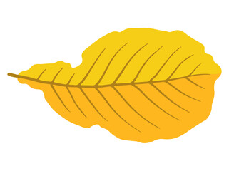 Autumn Falling Leaves Illustration
