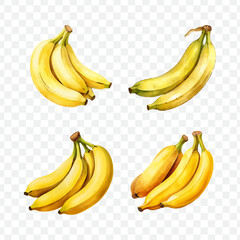 Banana watercolor graphic transparent isolated 
