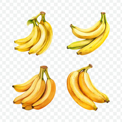 Banana watercolor graphic transparent isolated 