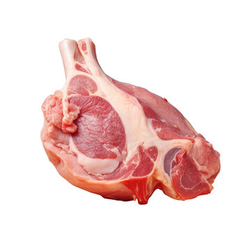 Uncooked pig leg on transparent background