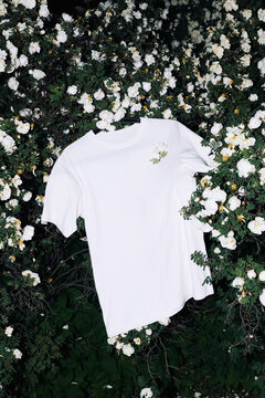 white t-shirt hanging on a rose bush