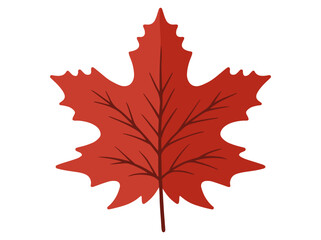 Autumn Falling Leaves Illustration
