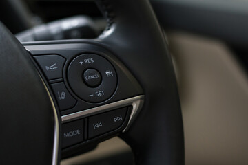 steering wheel buttons for cruise control functions, automatic speed limiter in modern car, shallow...