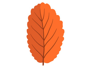 Autumn Leaves Illustration