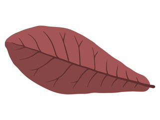 Autumn Tree Leaves Illustration