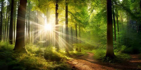 Beautiful rays of sunlight in a green forest. Generative AI