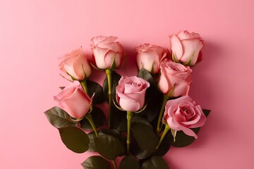 Roses on pink background. valentine day 2024