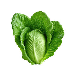 Vegetarian greens isolated on transparent background