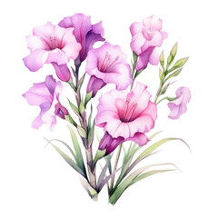 Purple and white watercolor gladiolus flower isola on transparent background