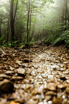 Rocky Trail 