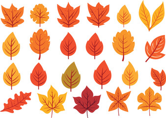 Obraz premium autumn leaves collection, set of leaves, leaves collection