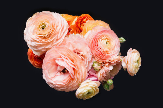 Pink and orange ranunculus bouquet