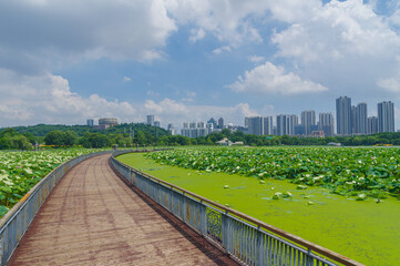 Wuhan City landmark and Skyline Landscapes  
