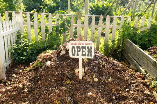 Community garden compost pile