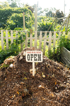 Community garden compost pile