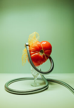 Still life with a tomato and a hose.