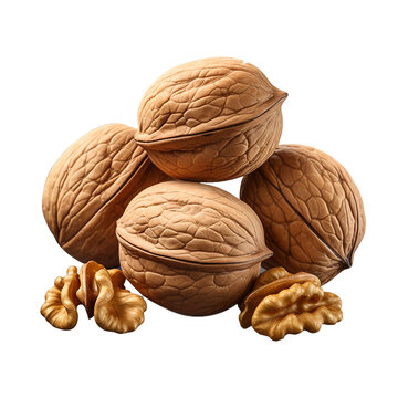 Group Of Wallnuts Isolated On Transparent Background Walnuts And Nutcracker  Png File