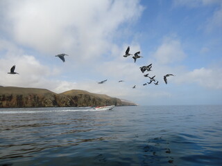 It all comes down to sand, sun and sea