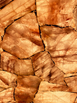 Glowing Golden Colored Agate Slices 