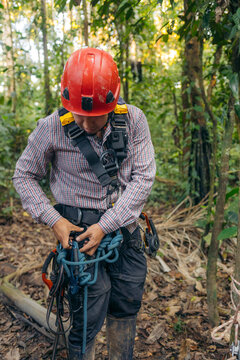 Man with tree climbing equipment