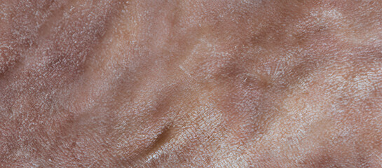 Fototapeta premium Close up of brown old skin texture, wrinkled of human skin