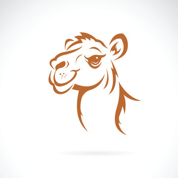 Vector of a camel head design on white background. Wildlife Animals. Easy editable layered vector illustration.