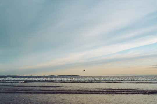 Golden hour seascape with gulls flying low over the waves