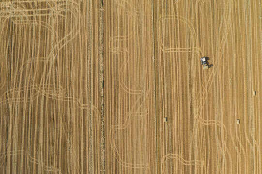 Tractor working in the field