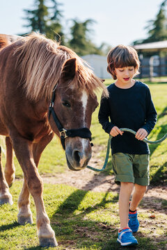 Boy with adhd walking his therapy horse. EAT session.