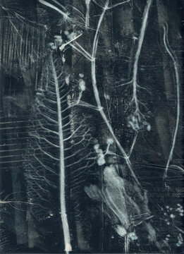 Mono print with rich organic detail and texture