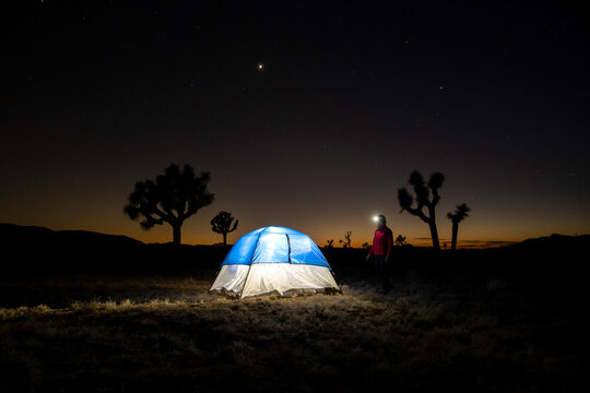 Night Camping in Joshua Tree, Mojave Desert - Powered by Adobe