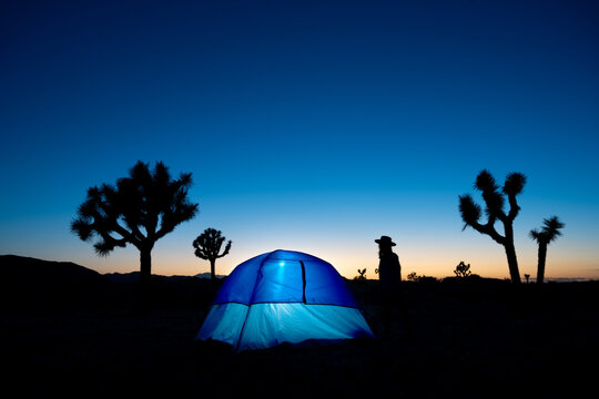 Night Camping Serenity in Joshua Tree - Powered by Adobe