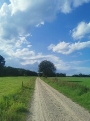 Fototapeta premium a path in the nature in North-Germany, near Rostock