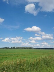 a path in the nature in North-Germany, near Rostock